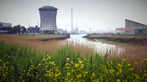 Vijfsluizen is genomineerd als het groenste bedrijventerrein van Nederland