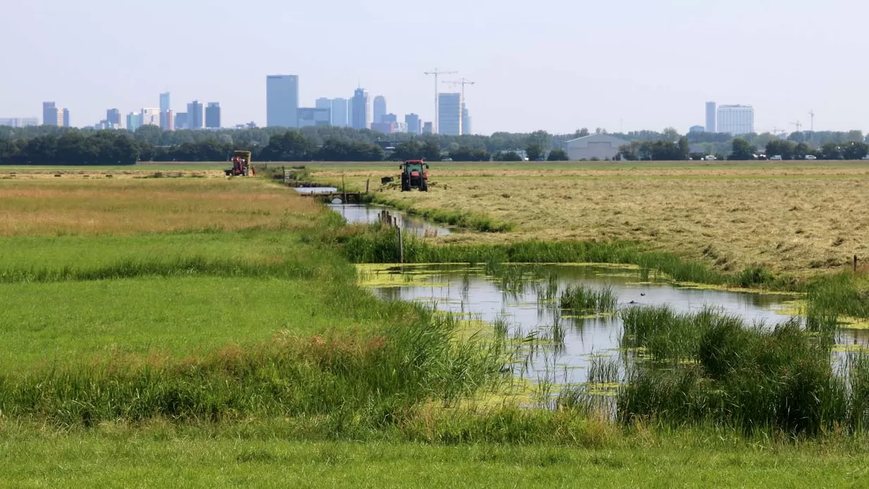 Leve de delta! Hoe ontwerpend onderzoek ons leven op peil kan houden