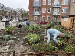groen_zonder_grenzen.jpg