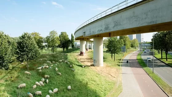 Community Local Led Development: Wij maken Mathenesse