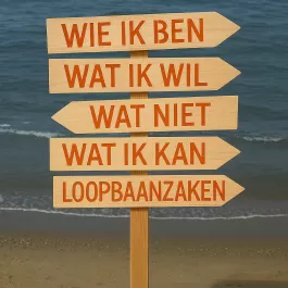 impuls_2.png